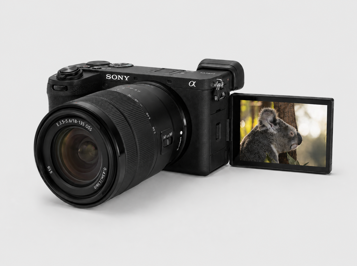 Photography & Videography